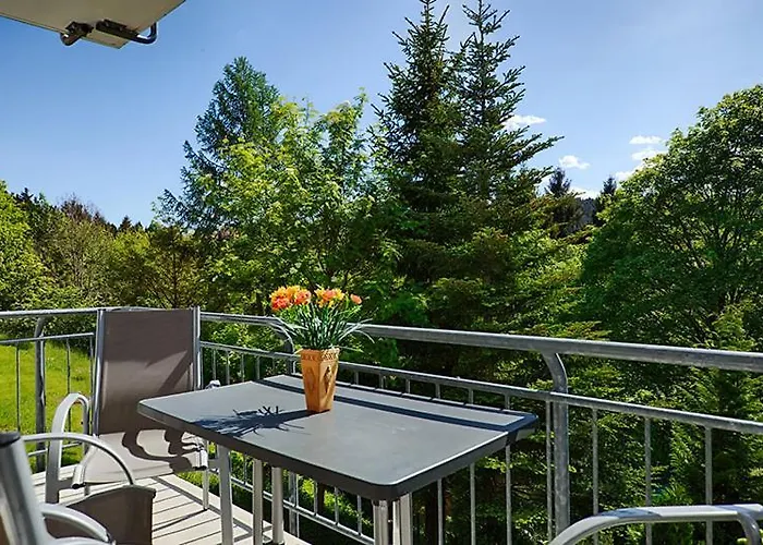 公寓 Haus Tannenblick Oberhof *